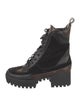 Louis Vuitton LV Monogram Suede Combat Boots