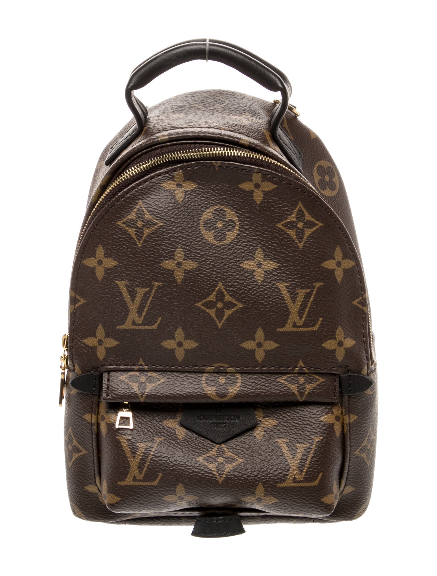 Louis Vuitton LV Monogram Palm Springs Mini