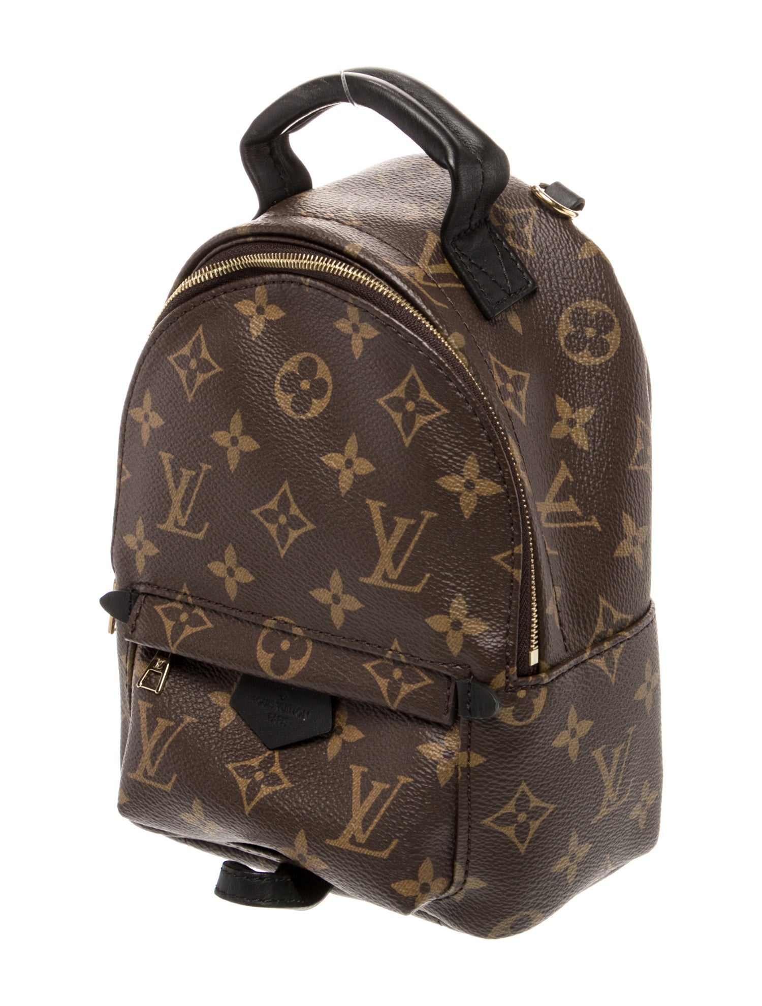Louis Vuitton LV Monogram Palm Springs Mini