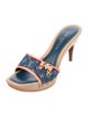 Louis Vuitton LV Monogram Denim Slides