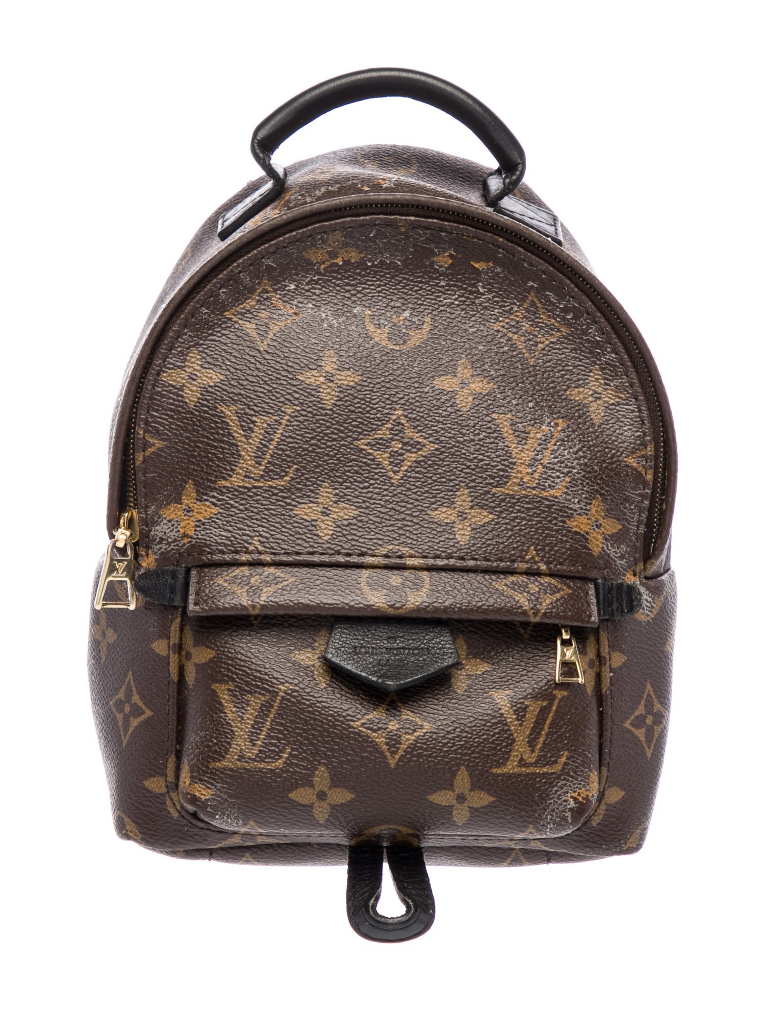 Louis Vuitton LV Monogram Palm Springs Mini