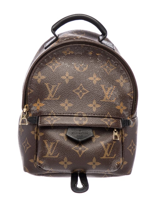 Louis Vuitton LV Monogram Palm Springs Mini