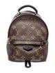 Louis Vuitton LV Monogram Palm Springs Mini