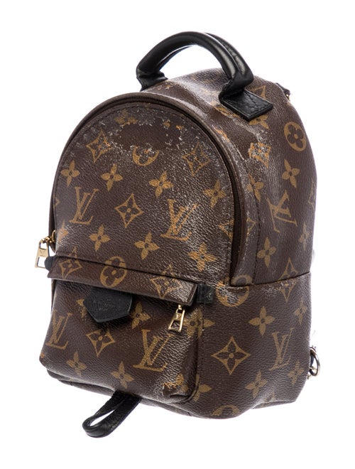 Louis Vuitton LV Monogram Palm Springs Mini