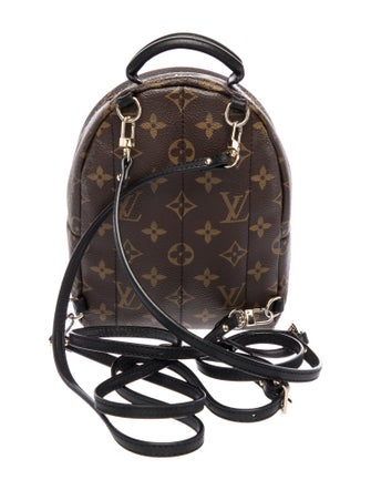 Louis Vuitton LV Monogram Palm Springs Mini