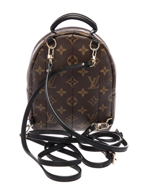 Louis Vuitton LV Monogram Palm Springs Mini