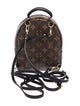 Louis Vuitton LV Monogram Palm Springs Mini