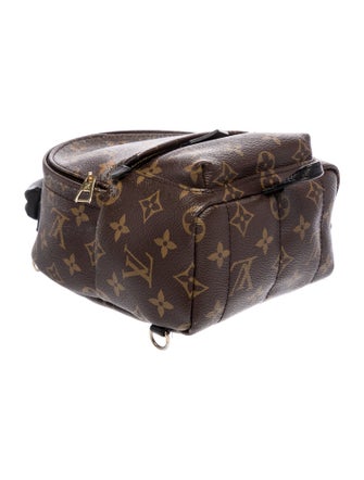 Louis Vuitton LV Monogram Palm Springs Mini