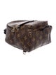Louis Vuitton LV Monogram Palm Springs Mini