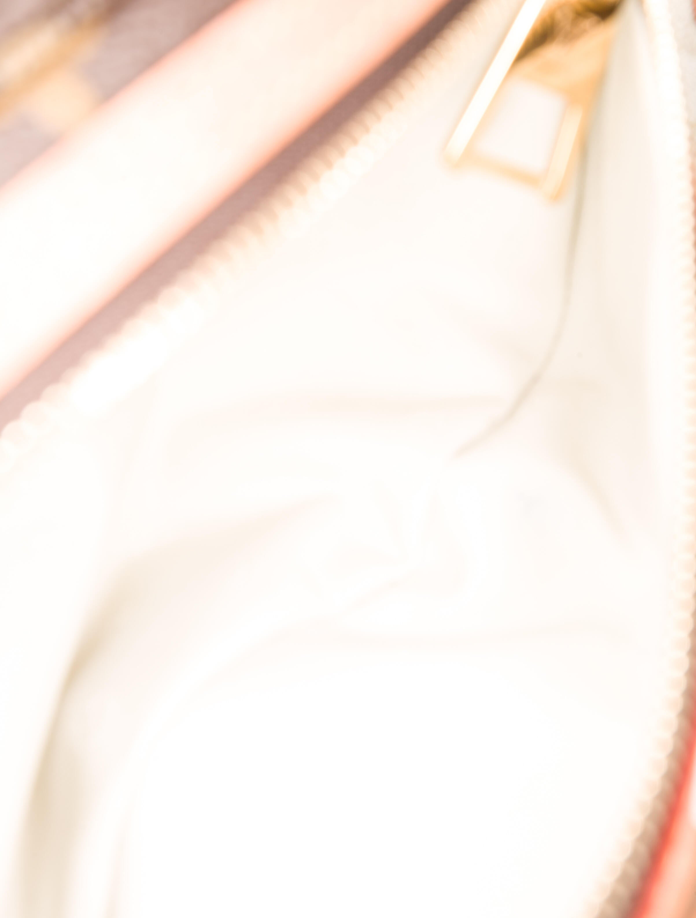 Louis Vuitton LV Monogram High Rise Bumbag