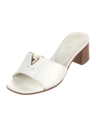 Louis Vuitton LV Monogram Leather Slides