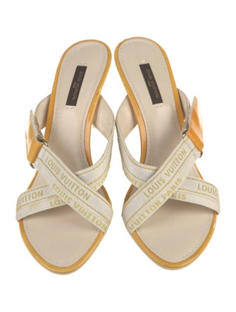 Louis Vuitton Canvas Slides