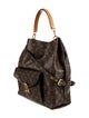 Louis Vuitton LV Monogram Metis