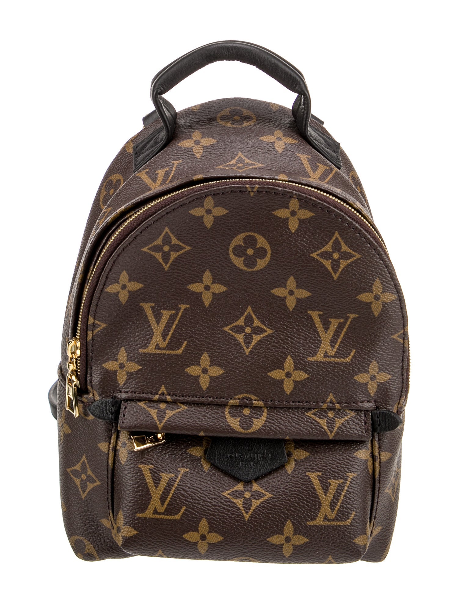 Louis Vuitton LV Monogram Palm Springs Mini