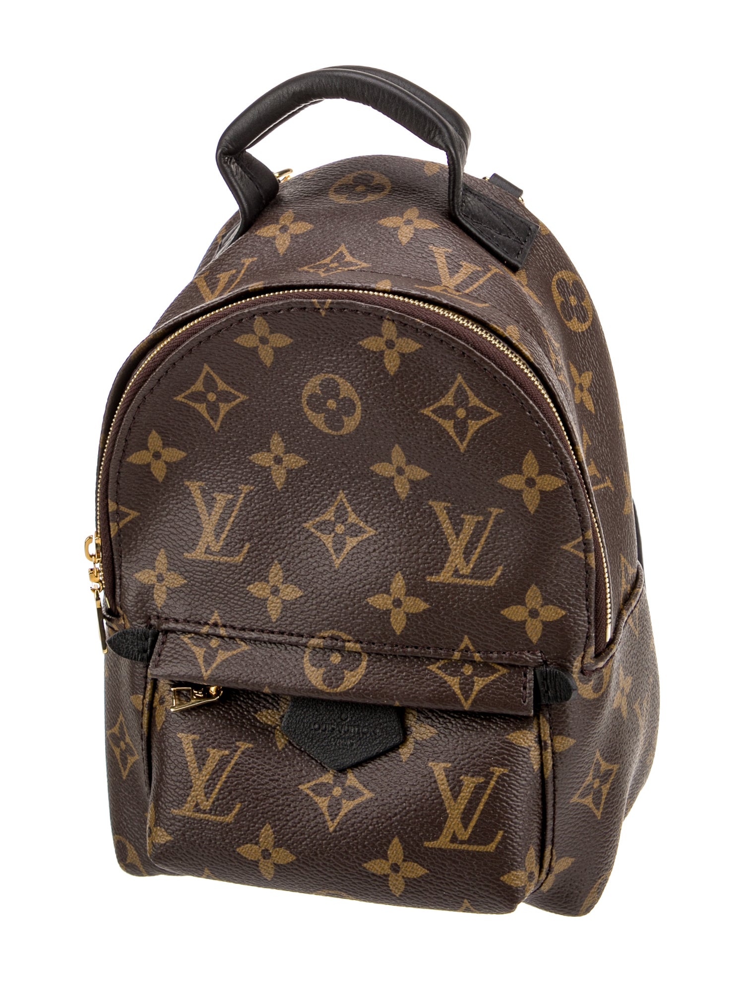 Louis Vuitton LV Monogram Palm Springs Mini