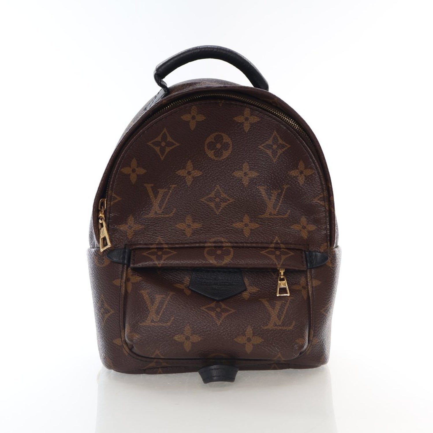 Louis Vuitton LV Monogram Palm Springs Mini