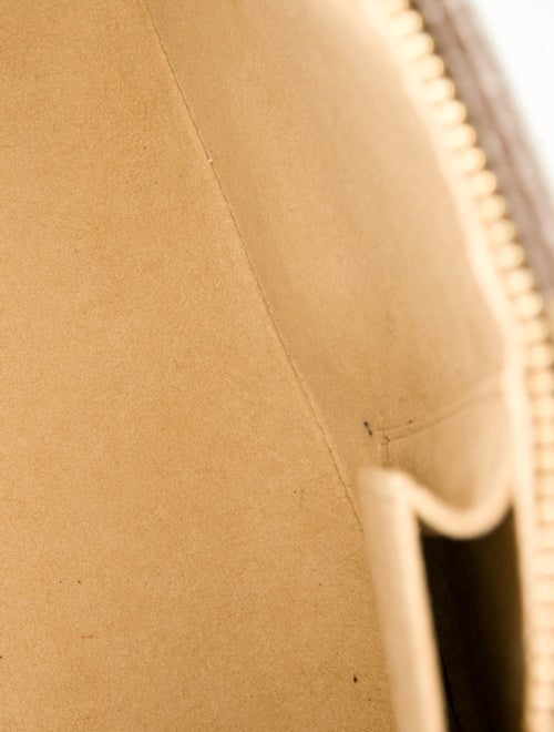 Louis Vuitton Coated Canvas Looping