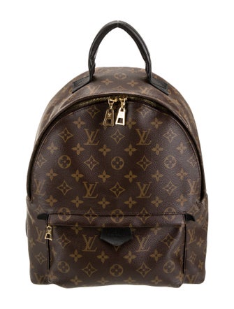 Louis Vuitton LV Monogram Palm Springs MM