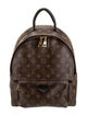 Louis Vuitton LV Monogram Palm Springs MM