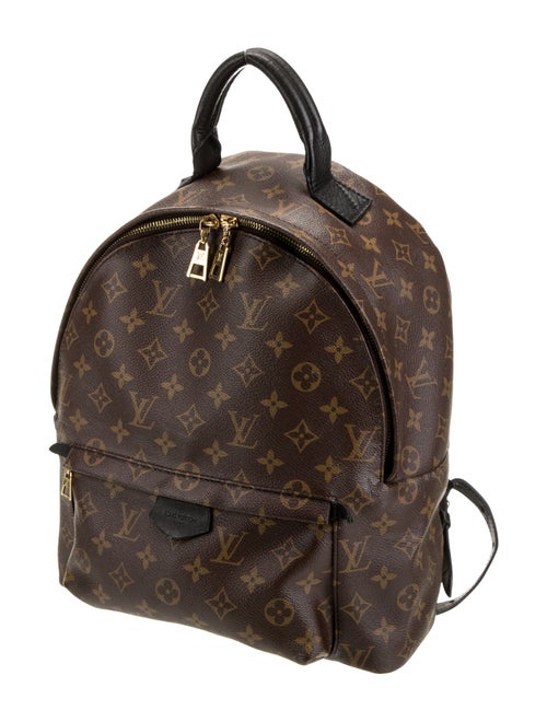 Louis Vuitton LV Monogram Palm Springs MM