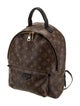 Louis Vuitton LV Monogram Palm Springs MM