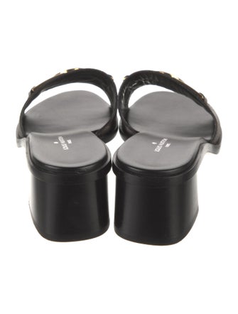 Louis Vuitton LV Monogram Slides