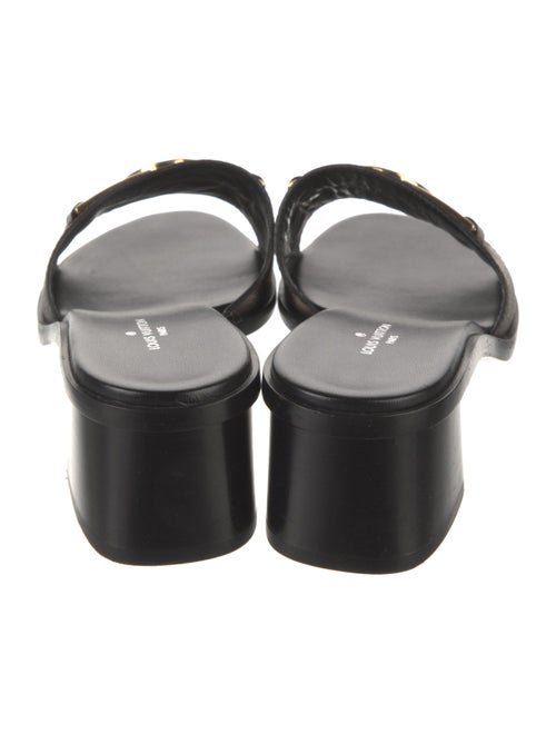 Louis Vuitton LV Monogram Slides