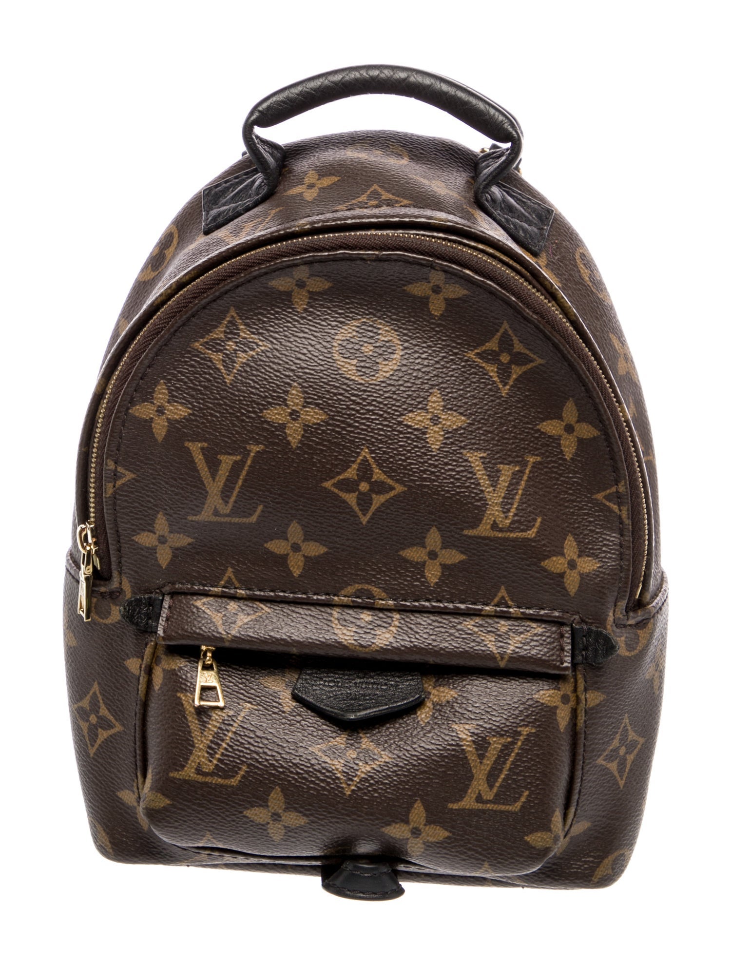 Louis Vuitton LV Monogram Palm Springs Mini