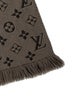 Louis Vuitton Logomania 2015 Scarf