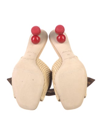 Louis Vuitton Straw Slides