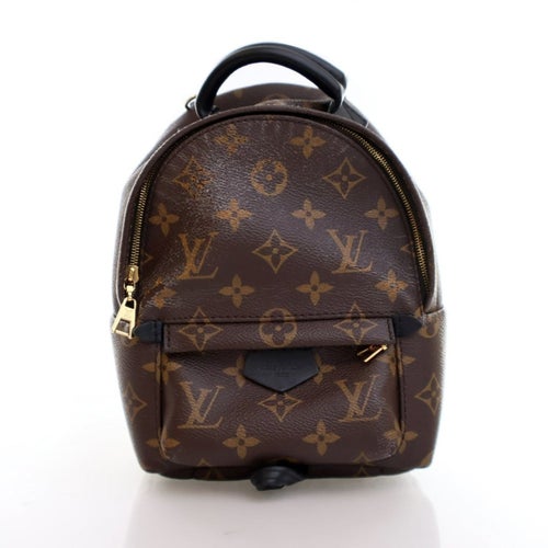 Louis Vuitton Monogram Palm Springs Mini