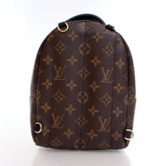 Louis Vuitton Monogram Palm Springs Mini