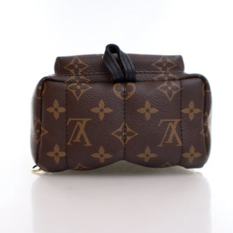 Louis Vuitton Monogram Palm Springs Mini