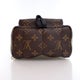 Louis Vuitton Monogram Palm Springs Mini