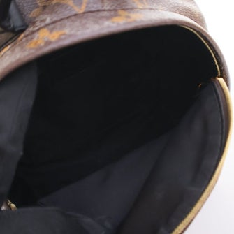 Louis Vuitton Monogram Palm Springs Mini