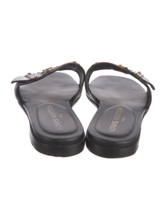 Louis Vuitton LV Monogram Slides