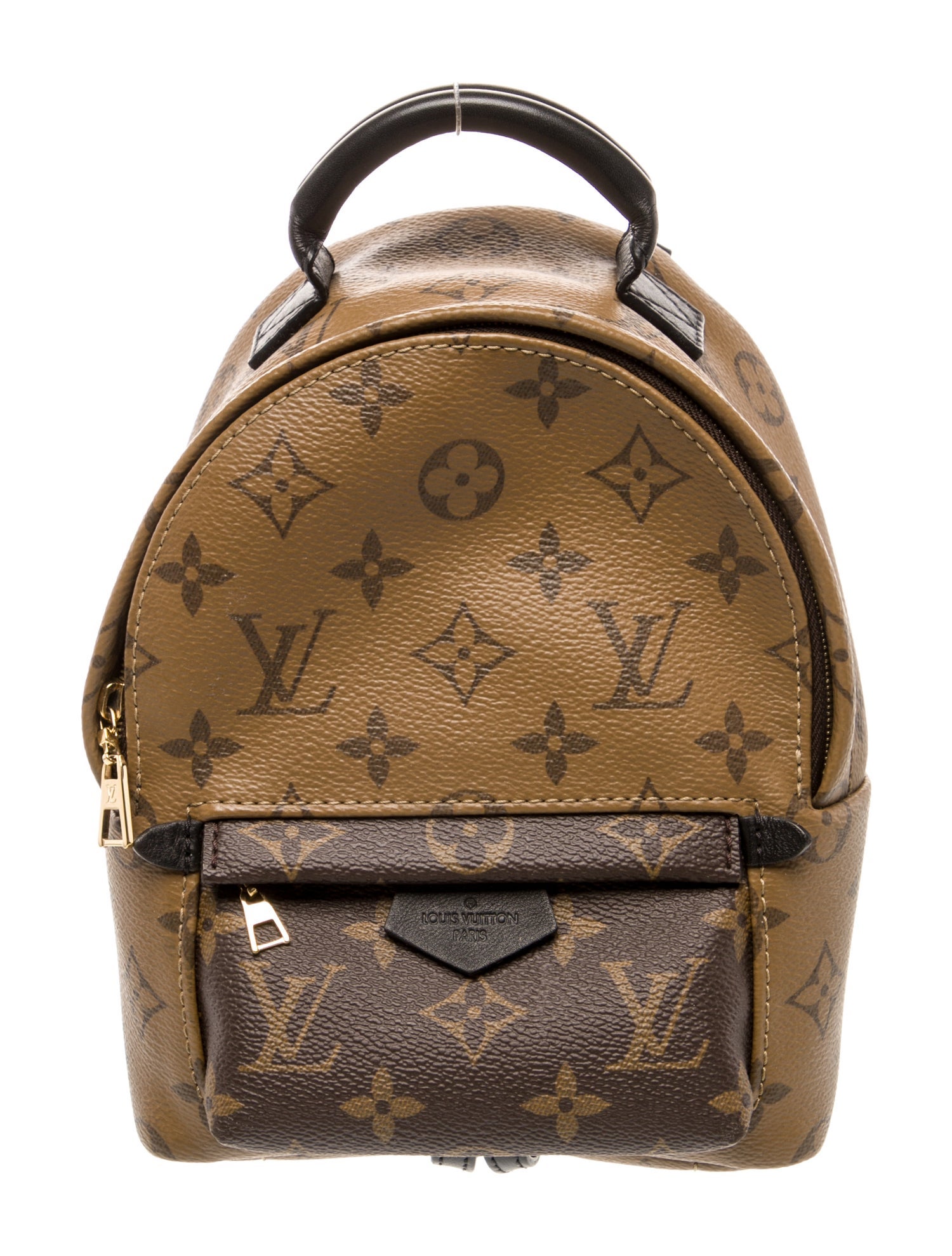 Louis Vuitton LV Monogram Palm Springs Mini