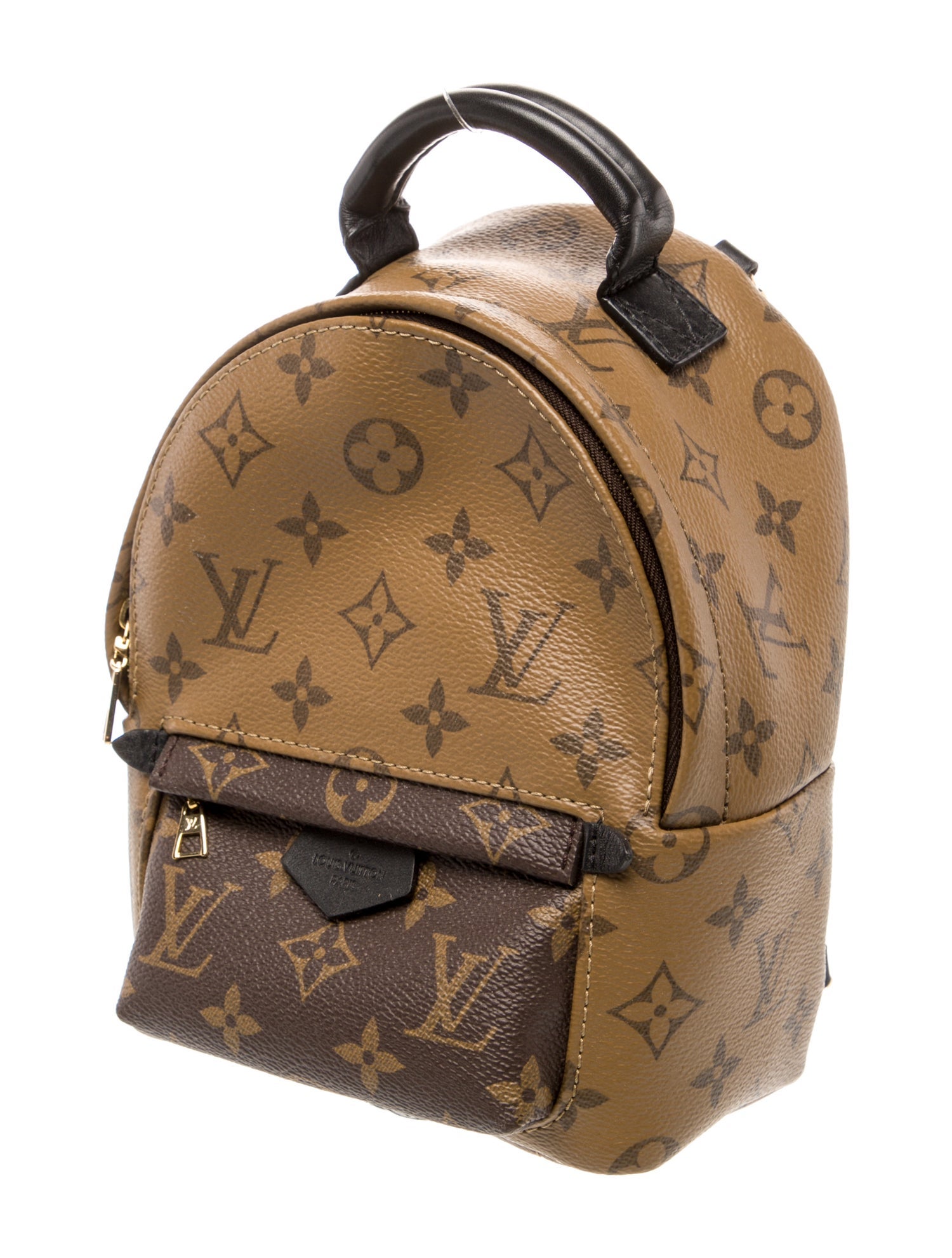 Louis Vuitton LV Monogram Palm Springs Mini
