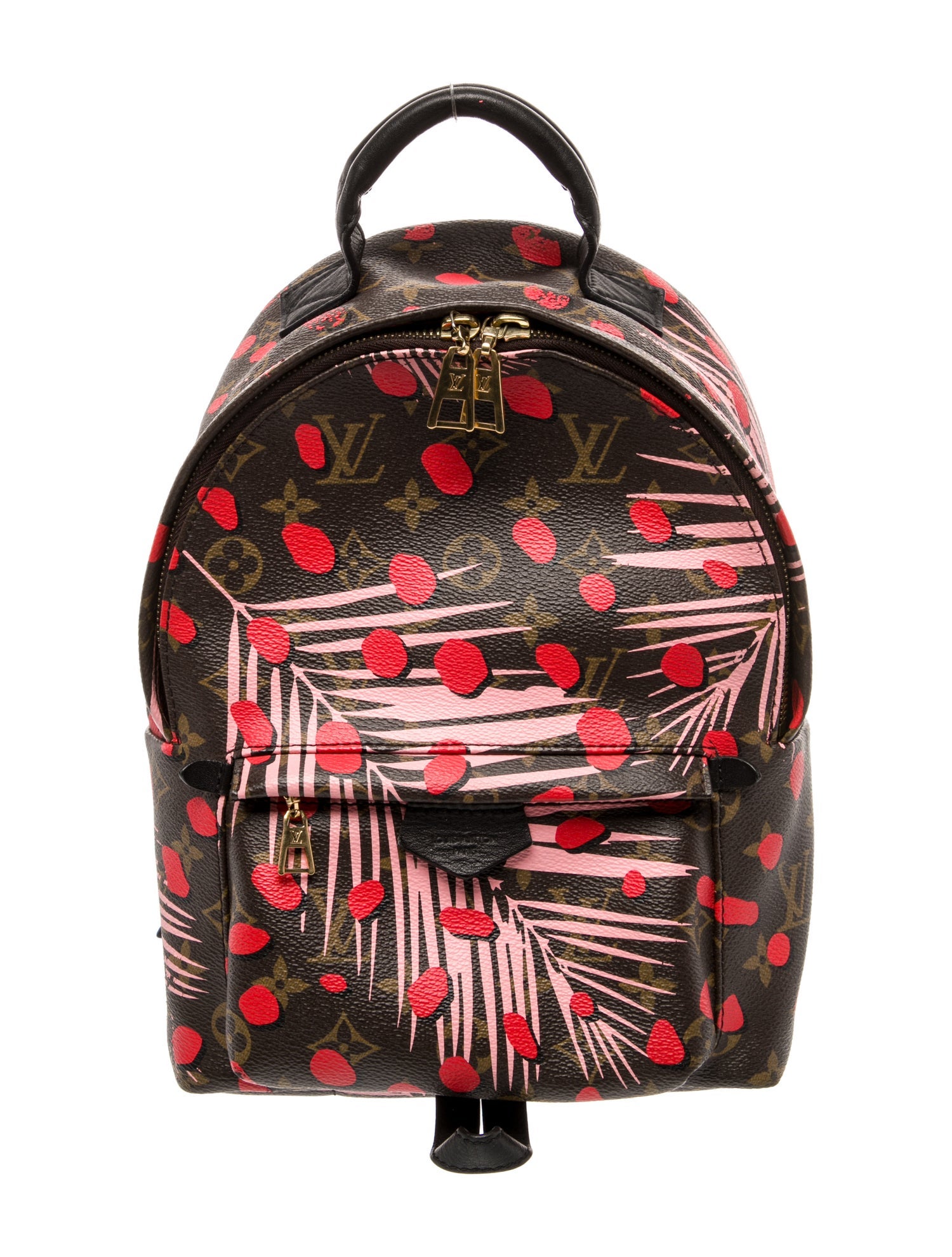 Louis Vuitton LV Monogram Palm Springs PM