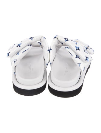 Louis Vuitton Printed Slides