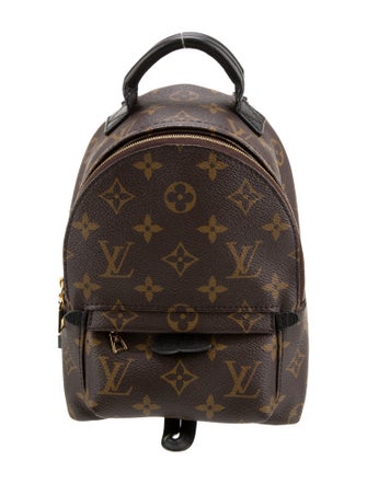 Louis Vuitton LV Monogram Palm Springs Mini