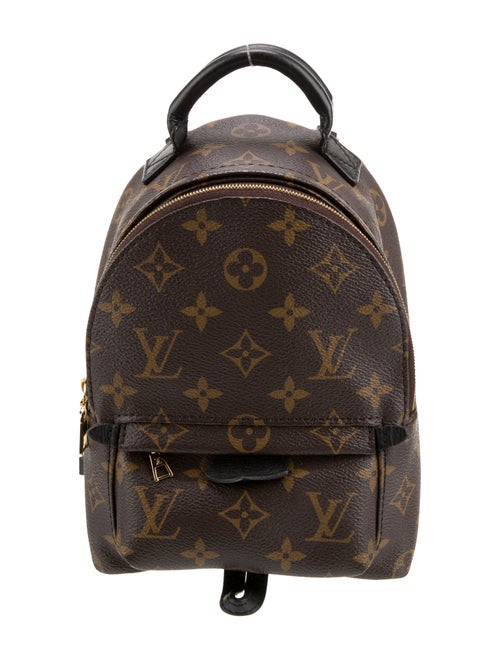 Louis Vuitton LV Monogram Palm Springs Mini