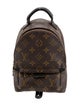 Louis Vuitton LV Monogram Palm Springs Mini