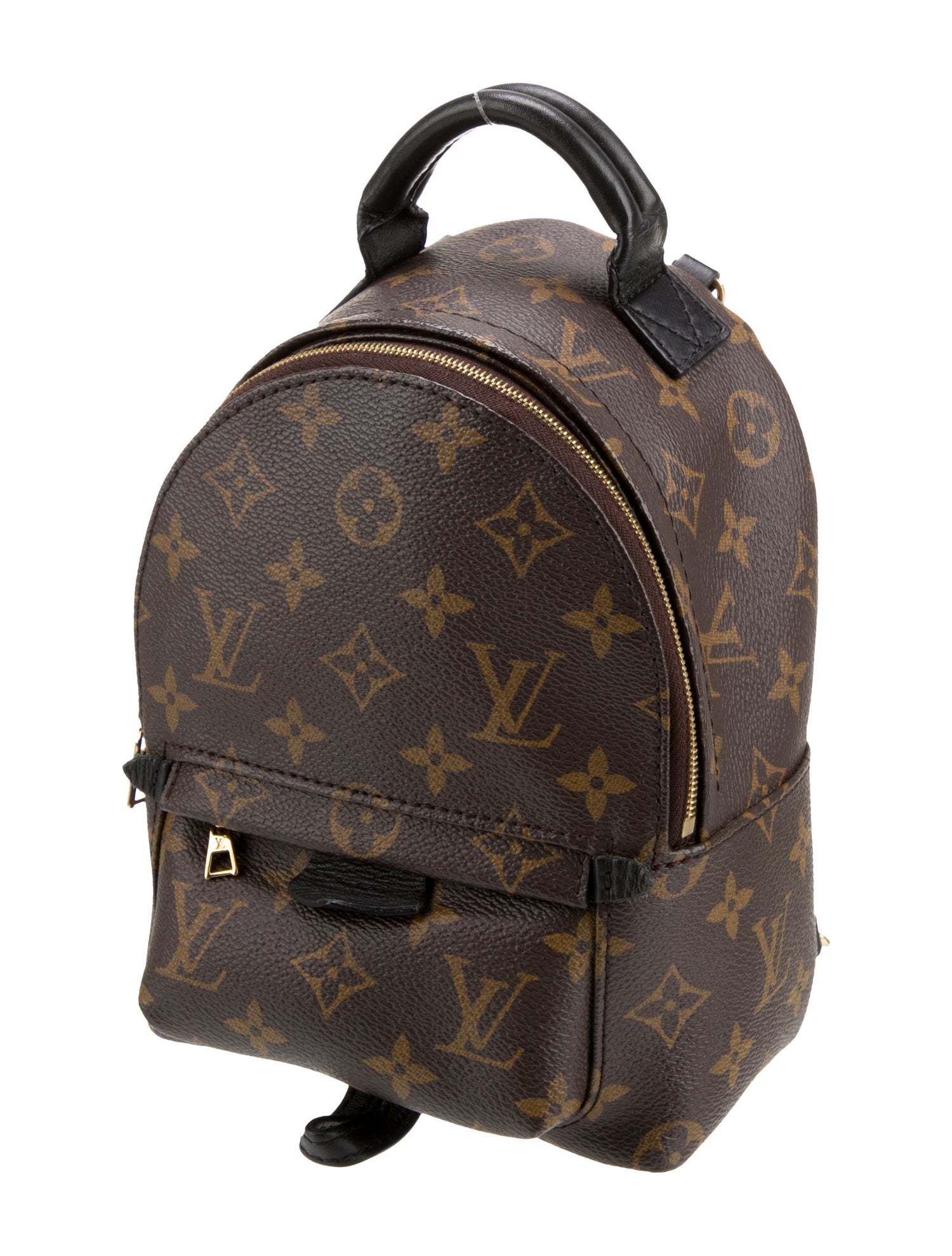 Louis Vuitton LV Monogram Palm Springs Mini