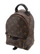 Louis Vuitton LV Monogram Palm Springs Mini