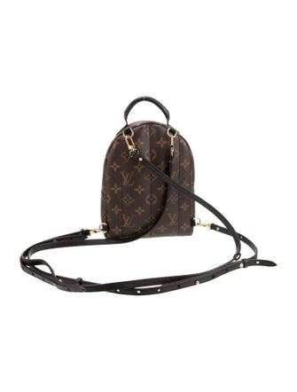 Louis Vuitton LV Monogram Palm Springs Mini