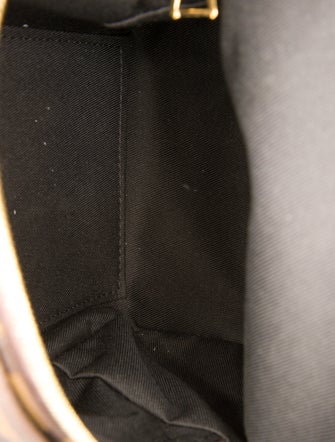 Louis Vuitton LV Monogram Palm Springs Mini