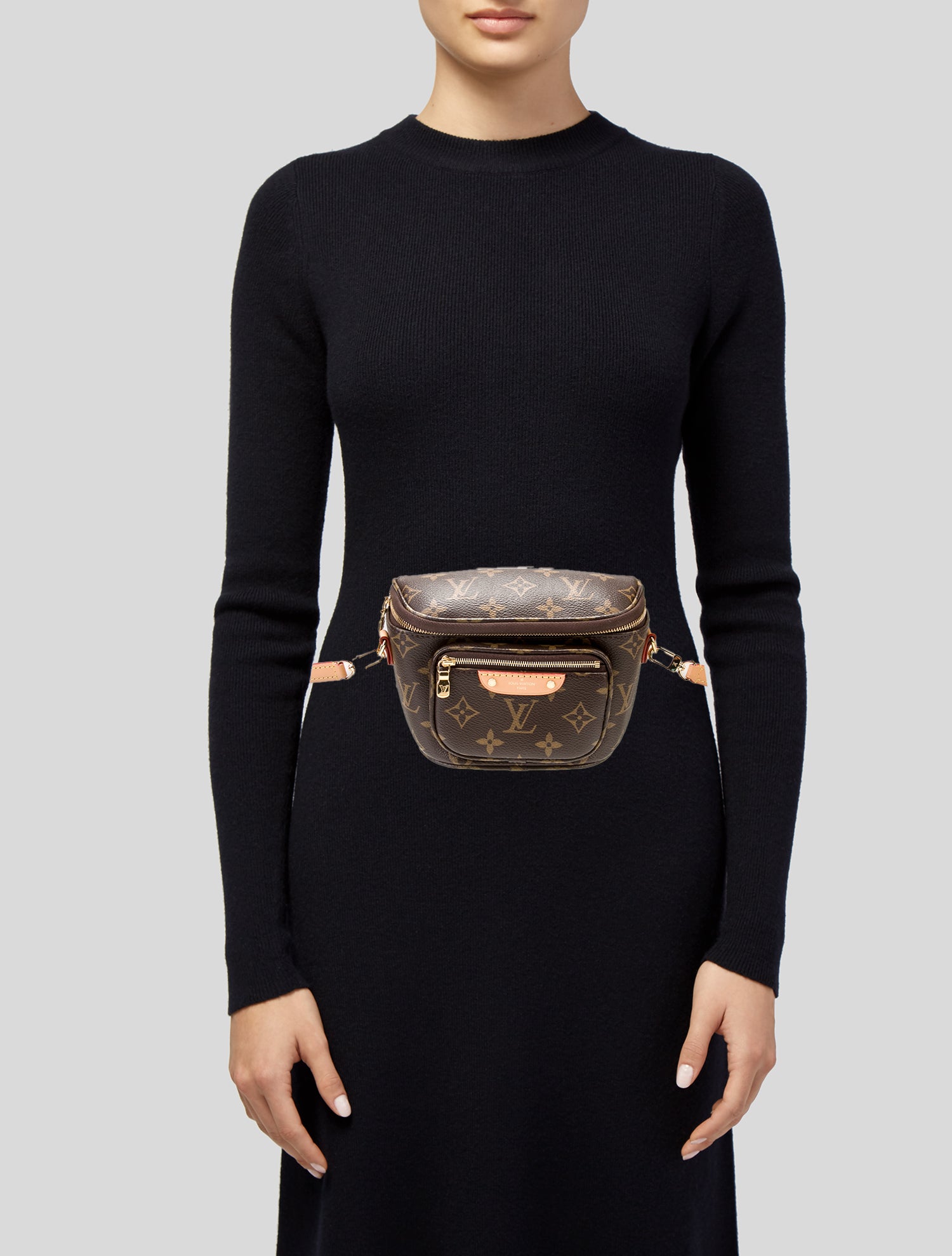 Louis Vuitton LV Monogram Bumbag Mini