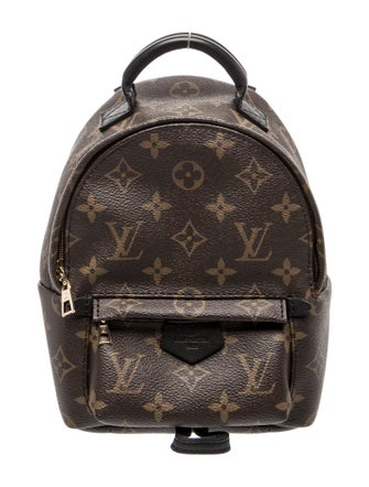 Louis Vuitton LV Monogram Palm Springs Mini