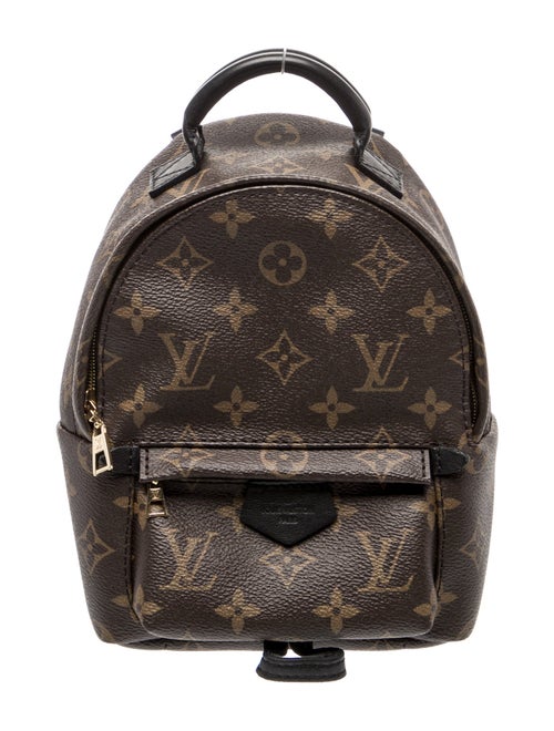 Louis Vuitton LV Monogram Palm Springs Mini